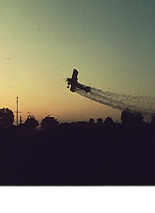 EPAarticle_photo3