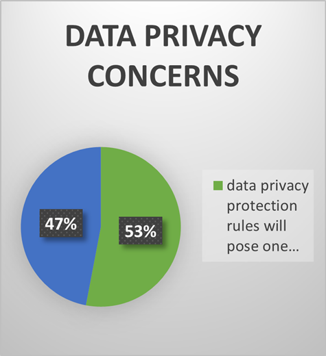 Lessons_From_a_Year_-_Data_Privacy_Concerns_Graph