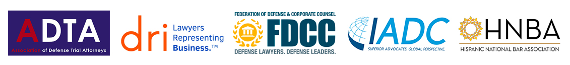 Protecting_the_Rule_of_Law_2025_Logos